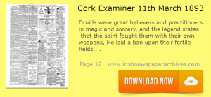 Cork Examiner Download 11 March 1893
