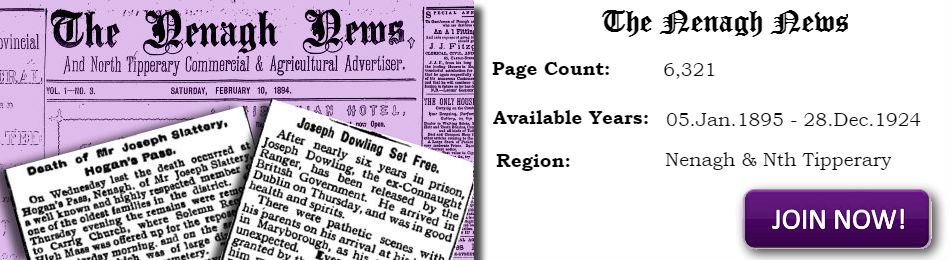 Nenagh News Archive for North Tipperary and Nenagh